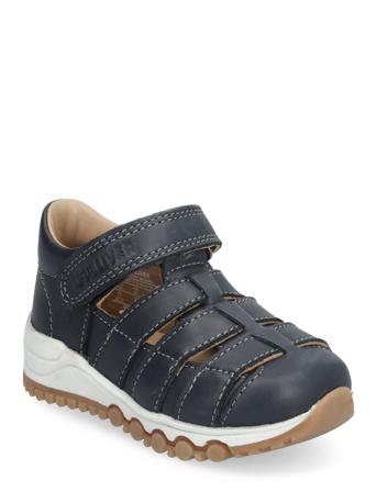 Gyllebo Borga Navy Gulliver