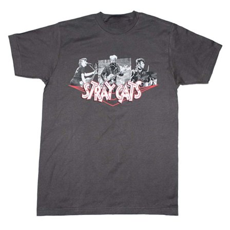 Herrelösa katter T-tröja T-tröja för herrelösa kattfotocollage