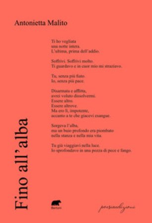 Fino all'alba Antonietta Malito