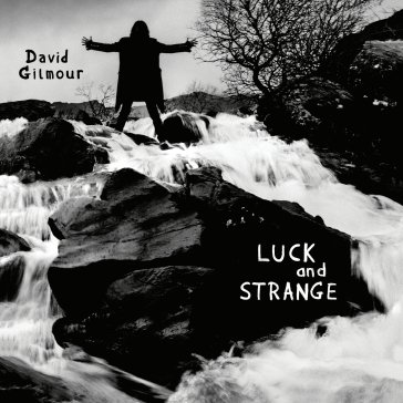 Luck and strange David Gilmour
