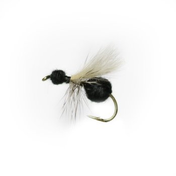 CDC Ant Black # 12