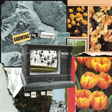 Growing in strange places I M SORRY THANK YOU