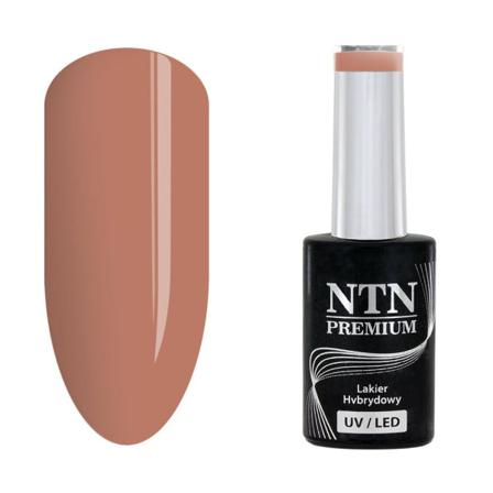 Ntn Premium - Gellack - Topless - Nr13 - 5g Uv-gel/led
