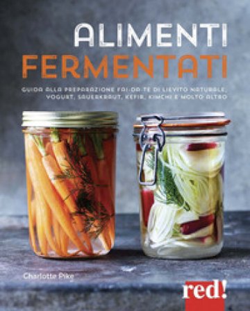 Alimenti fermentati. Guida alla preparazione fai-da-te di lievito naturale, yogurt, sauerkraut, kefir, kimchi e molto altro. Ediz. a colori Charlotte 