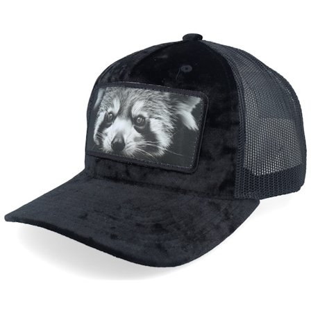 Calza Pennello - Preto trucker Boné - Red Panda Big Patch Velvet Black Trucker @ Hatstore