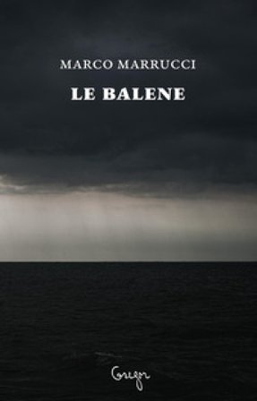 Le balene Marco Marrucci