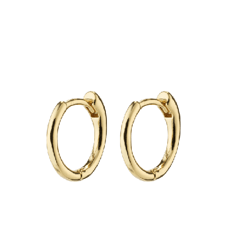 Pilgrim Eanna Earrings Smycken & klockor Dam Guld ONESIZE