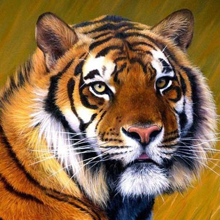 Diamond Painting 5d Diy Diamant Målning Stl.30*30cm