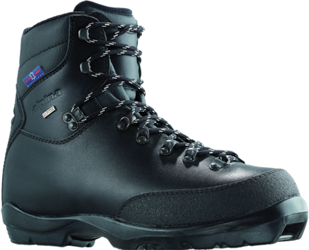 Alpina BC 1600 Unisex Skridsko & Turpjäxa