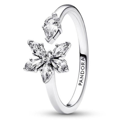 Naisten sormus - 192611C01 - 925 Ohut Hopea - Kuutiollinen Zirkonia - Luonto - Koko 56