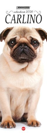 Carlino. Calendario 2026. Long
