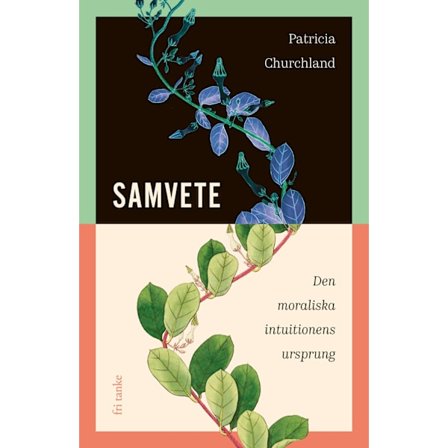 Samvete : Den moraliska intuitionens ursprung 9789188589729
