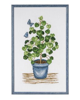 Stickpackung Bild Pilea