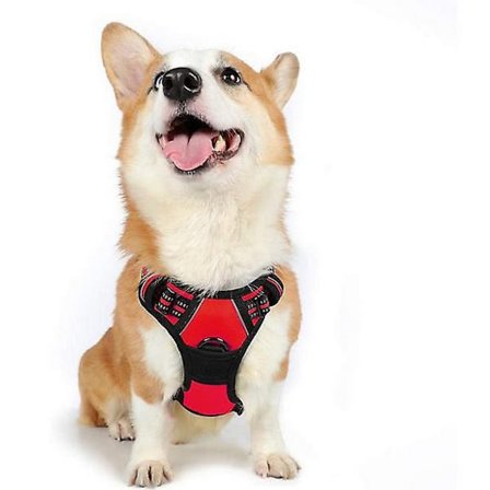 Koiravaljaat Ei Vedä Lemmikkieläinten Valjaat Säädettävä Pehmeästi Pehmustettu Koiran Liivi Lemmikkieläinten Valjaat