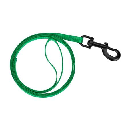 CANEM BASIC KOBBEL GRØNN S, Hund, Kobbel og bånd, Leiebånd