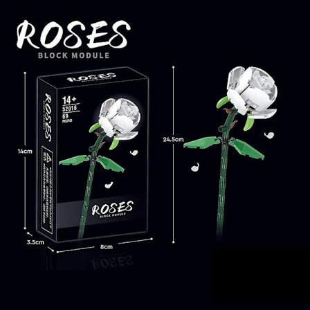 Rosbyggsten Blomma Montering Odödlig Blomma (FMY)