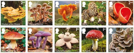 England - Svampe - Postfrisk sæt 10v