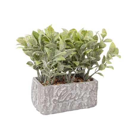 Kunstig blomst GRØNLAND i potte "Kærlighed