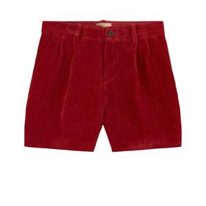 Kids - Gucci Red Velvet Shorts 8 years - Shorts - 8 years - Red
