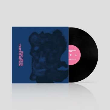 That wasn't a dream Palladino Pino & Mil