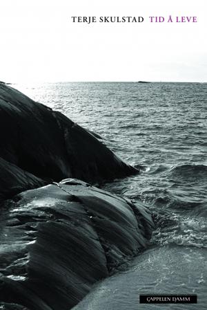 Tid å leve - Bok av Terje Skulstad - Paperback