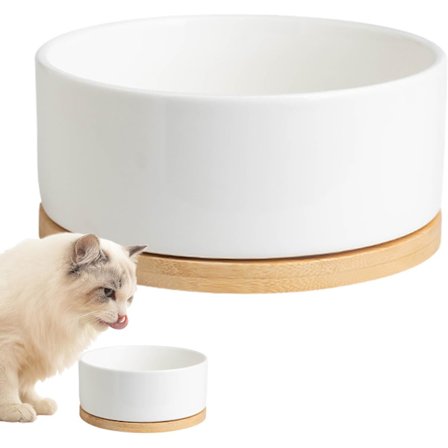 Vattenautomat för husdjur - Termostatstyrd uppvärmd vattenskål - Termisk skål för husdjur - Uppvärmd keramisk skål för husdjur, Multifunktionella 