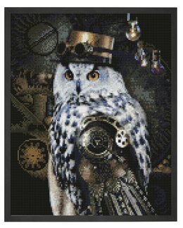 Diamond painting Surrealistisk uggla
