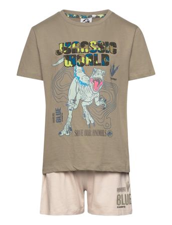 Jurassic World Set 2P Short + Ts Grön
