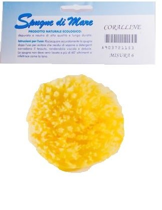 Spugna Di Mare Naturale Medium 1 Pezzo