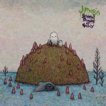 Several shades of why J Mascis