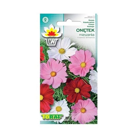 Meksikolainen Asteri Cosmos