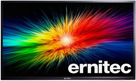 ERNITEC 65" Surveillance monitor for