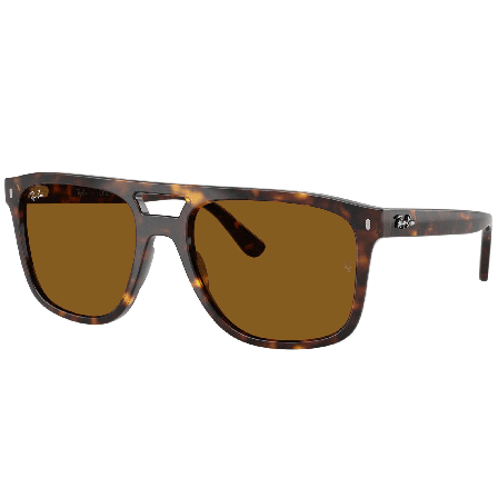 Ray-Ban RB2213 Brown