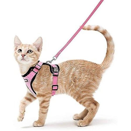 Rabbitgoo Cat Harness And Leash For Walking, Escape Proof Soft Adjustable Vest Harnesses For Cats, Easy Control