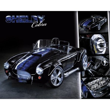 Easton - Shelby Cobra