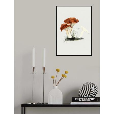 Håndtegnet Rufous Milkcap Svampe MultiColor 21x30 cm