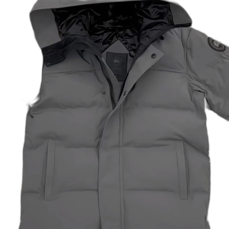 Canada goose MACMILLAN