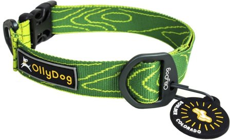OllyDog Flagstaff Collar Sage Bark