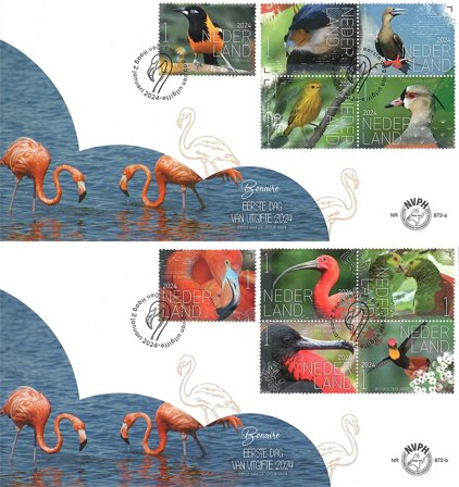 Holland - Oplev naturen 2024: Fugle fra Bonaire - Førstedagskuvert