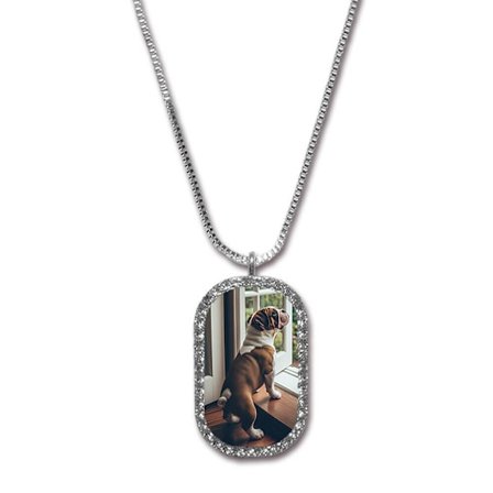 Hund Engelsk Bulldogg Halsband