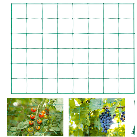 Klatrenett for planter, espaliernett, for høsting av agurk