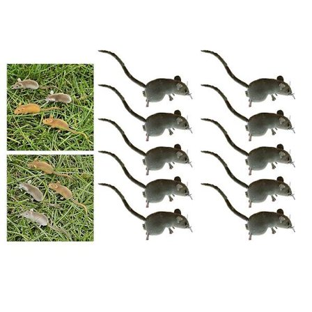 10 kpl Eläväisen Näköisiä Hiiri Eläin Koristeita Jääkaapin Magneetti Ruukun Ripustus Puutarha Sisustus Leikki