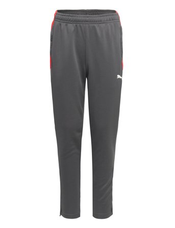 PUMA Individualliga Training Pants Jr - Grey - 116