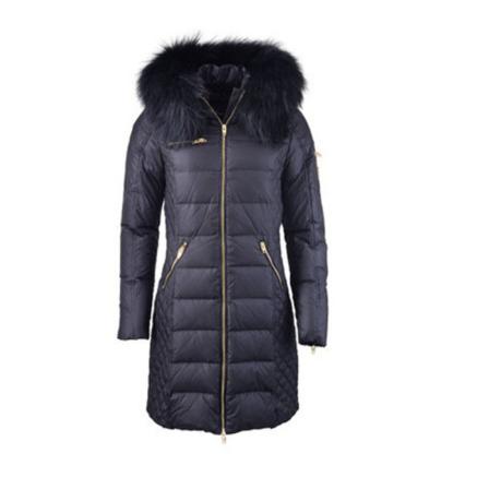 Rockandblue, Winter Jackets Blauw, Dames, Maat:L