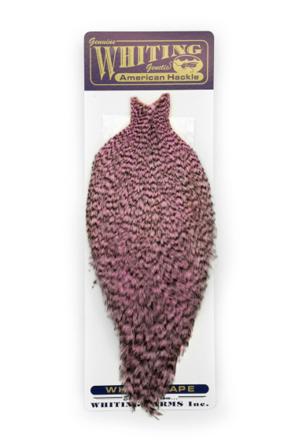 Whiting American Rooster Cape Grizzly dyed Shell Pink