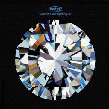 What are we fighting for Dodgy