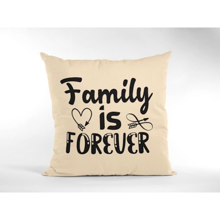 kuddfodral kudde 50x50cm Family is forever