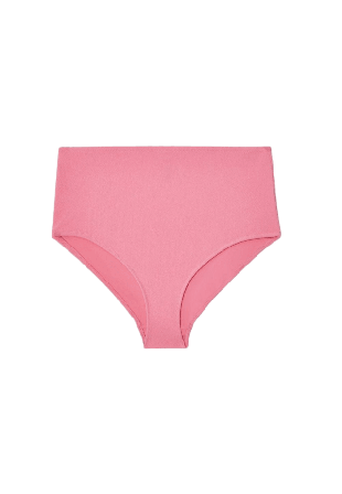 Understatement Highwaist Bikini Briefs Dam Rosa XL