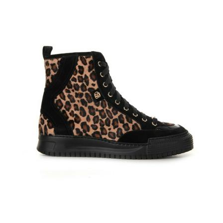 Baldinini sneakers , Zwart , Dames , Maat: 39 EU