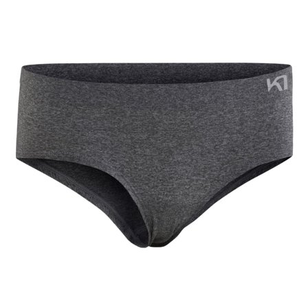 Kari Traa Women's Ness Hipster Women undergarment Grey L/XL